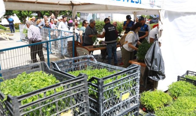 Efes Tarlası Yaşam Köyü’nün Yerel Tohumlardan Üretilen Fideleri Efes Selçuk Halkıyla Buluştu