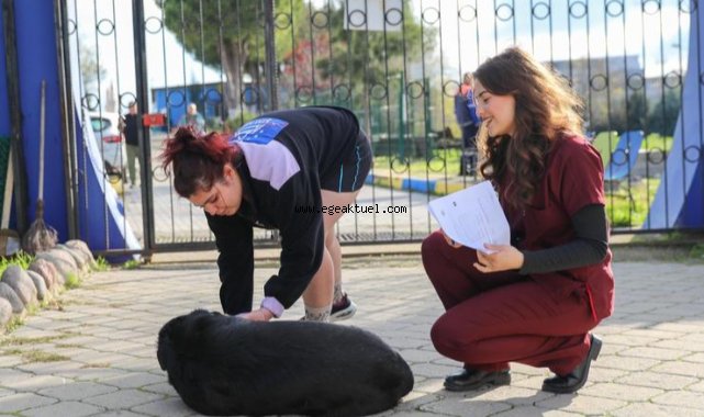 Buca Belediyesi’nden sahiplendirme çağrısı