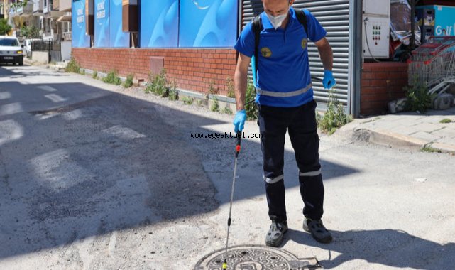 Buca'da 24 saat kesintisiz ilaçlama