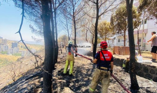 Çiğli’de yerleşim yerlerine ulaşan yangın kontrol altında