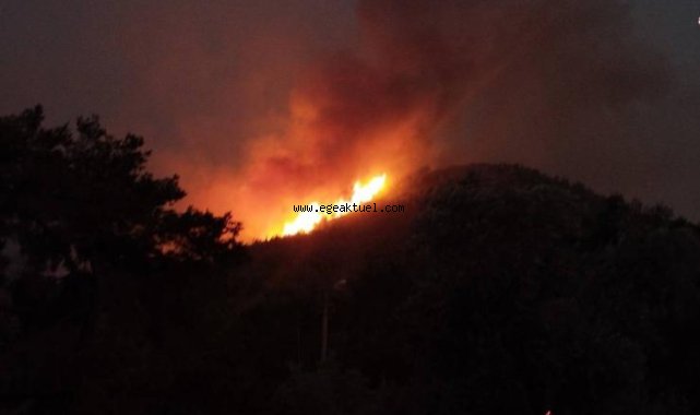 İzmir Seferihisar'da yangın şiddetini artırdı: Bir köy daha tahliye edildi