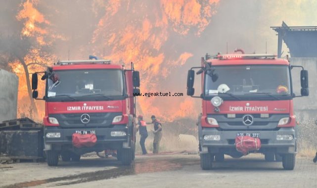 Bornova Gökdere’de yangınla mücadele sürüyor