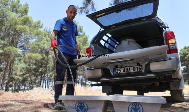 Buca Belediyesi’nden can dostları için hayati hamle