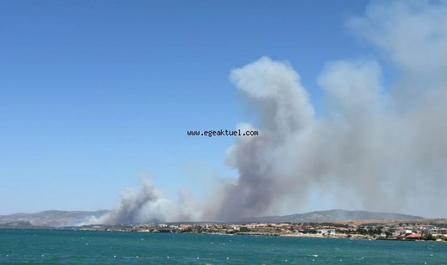 Çeşme Ildır'da yangın