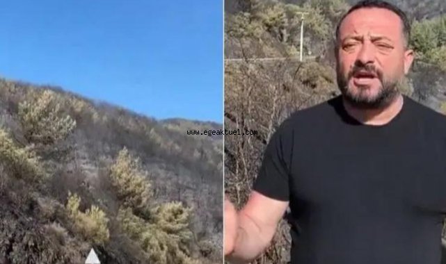 İzmir Ödemiş'te yangın kontrol altına alındı: 'Yanacak yer kalmadı'