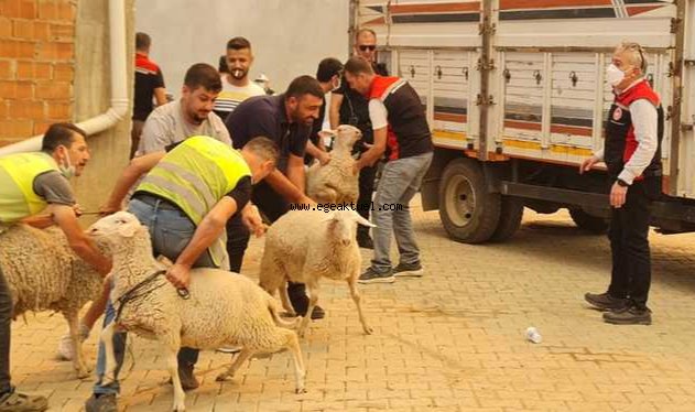 Ödemiş’te yangınla mücadele sürüyor