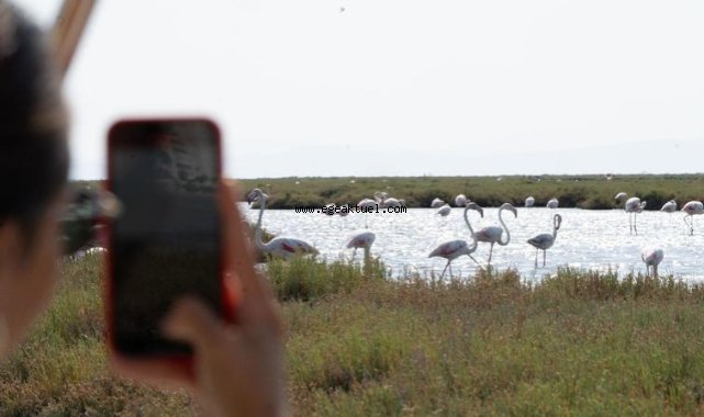 Flamingo Yolu turları başladı