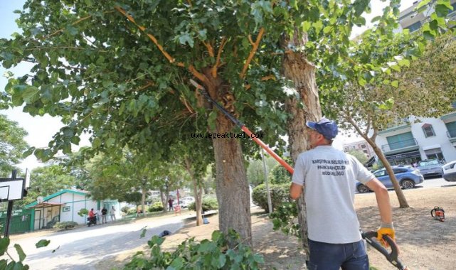 Karşıyaka’da parklara yoğun bakım