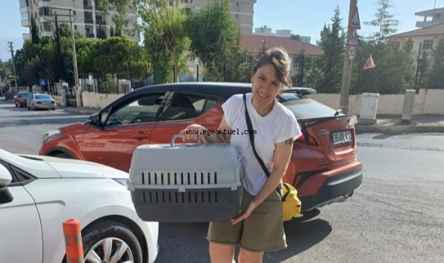 Narlıdere Belediyesi’nden Minik Dostlar İçin Seferberlik