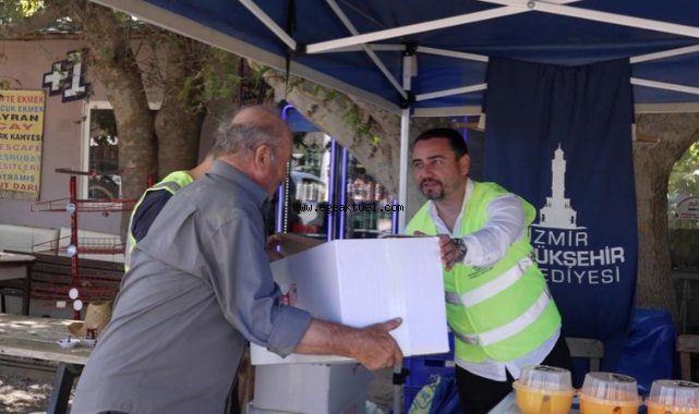 Büyükşehir’den üreticiye Akdeniz meyve sineği ile mücadele desteği