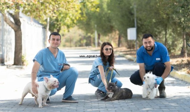 İzmir’de el konulan 20 cins köpek Işıkkent Köpek Bakımevi’nde