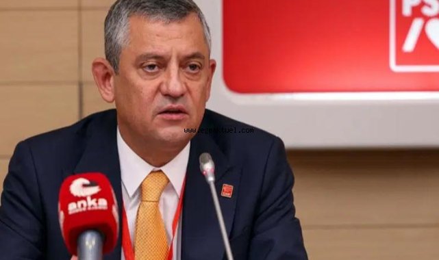 Özel, Sosyalist Enternasyonel'de konuştu