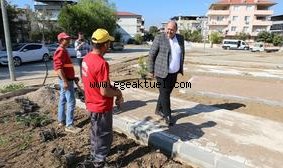 Pati Park’ta Sona Doğru