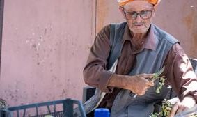 Beydağ incirinin katma değeri artıyor