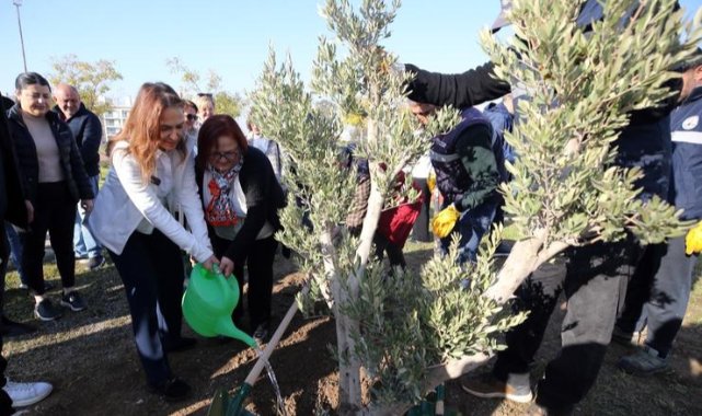 Karşıyaka’da zeytin fidanları toprakla buluştu