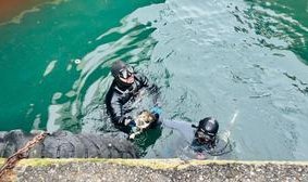 İzmir İtfaiyesi, iskele altında sıkışan kediyi kurtardı