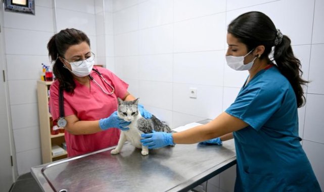 Modern klinikte dört ayda yüzlerce operasyon
