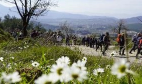 Gençler baharı Efes-Mimas Yolu’nda doğayla karşıladı