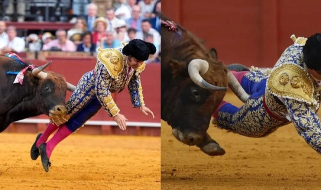 Arenada ölümle burun buruna: Ünlü matador ağır yaralandı