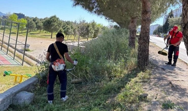 Menderes’te Ot Seferberliği