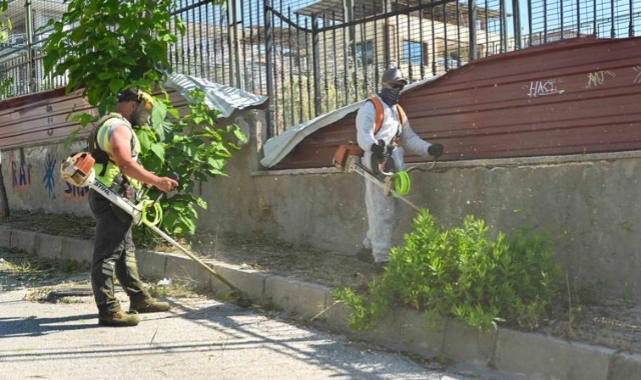 Bornova’da yaz öncesi yangın ve çevre seferberliği