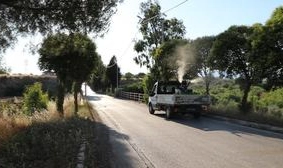 Menderes’te İlaçlama Seferberliği Başladı