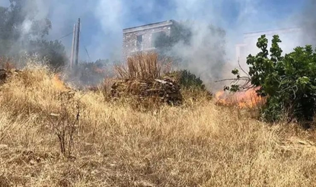 Bodrum'da otluk alanda çıkan yangın, ormana sıçradı