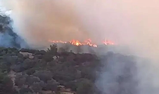 Bornova Homeros Vadisi’nde orman yangını