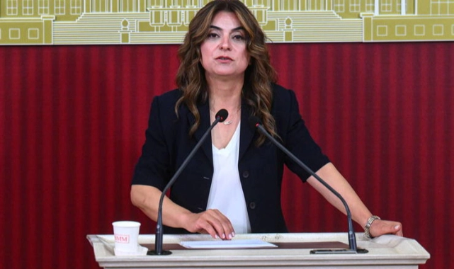 'Siyasete katılım ve dönüşler hukuki güvenceye bağlanmalı'
