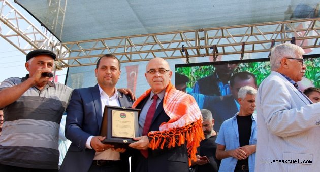 33. Çaylı Rahvan At Yarışlarına Rekor Katılım