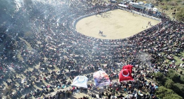 38. Uluslararası Devecilik Festivali’ne binlerce kişi akın etti