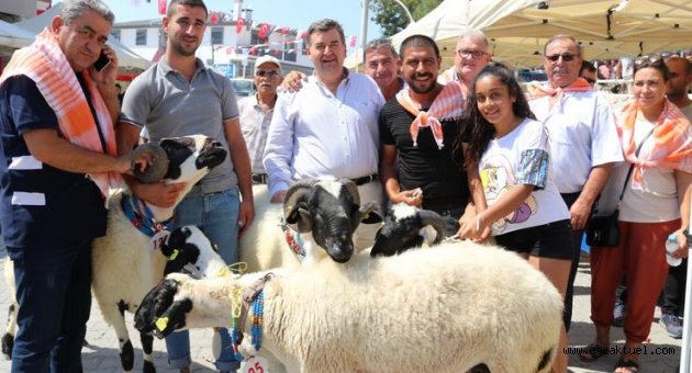 5. Ovacık Tarım ve Sakız Koyunu Festivali coşkuyla kutlandı