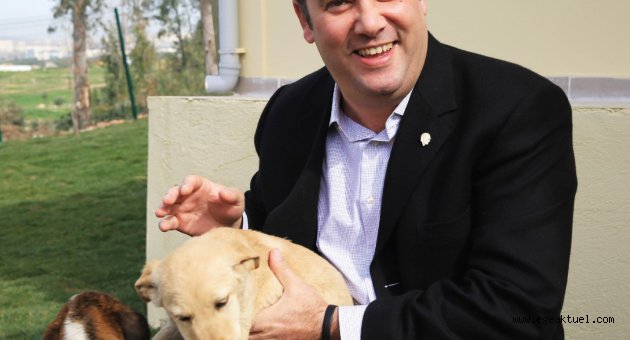 5 yıldızlı merkeze “Engelli Kedi Evi”