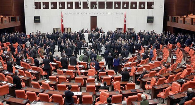 6. Madde Meclis'ten geçti