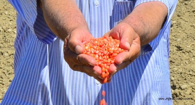 Afetzede üreticiye Büyükşehir'den yardım eli
