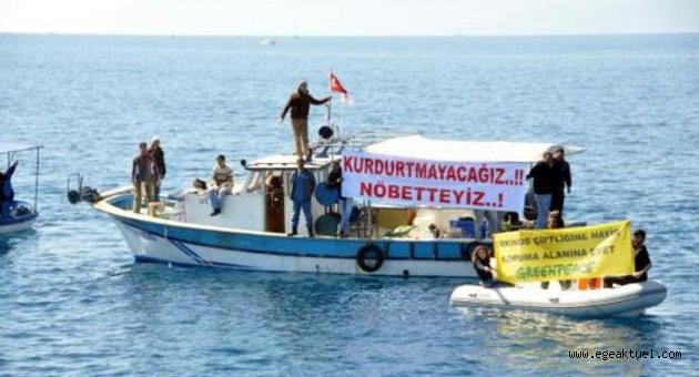 Akdeniz foklarının yaşam alanına orkinos çiftliği için ÇED başvurusu yapıldı