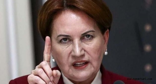 Akşener’den Pakdemirli’ye tepki
