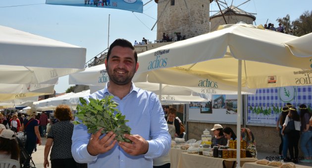 Alaçatı’nın otları Dünya'ya yayılacak