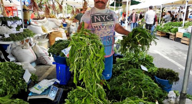 Alaçatı Ot Festivali'nde hediyelik eşya standı olmayacak
