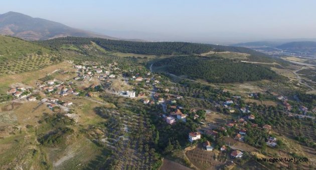 Aliağa’da 38 bin 400 fidan hayat bulacak