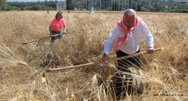 Atalık Karakılçık Kemalpaşa’da can buldu