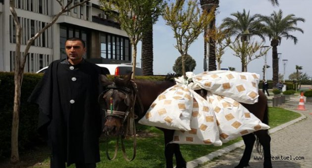 "Atı alan Üsküdar'ı değil polisi geçemedi"