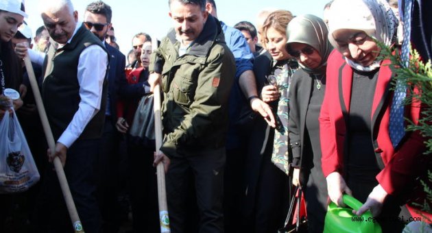 Bakan Pakdemirli ve Binali Yıldırım 850 bin fidanın dikildiği törende buluştu