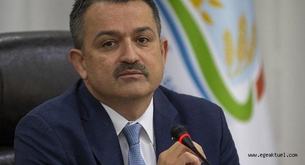 Bakan Pakdemirli'den tağşiş ve taklit açıklaması: Gönlüm hapis cezasından yana!