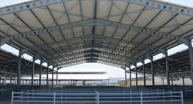 Bakırçay'ın en modern hayvan pazarı açılıyor