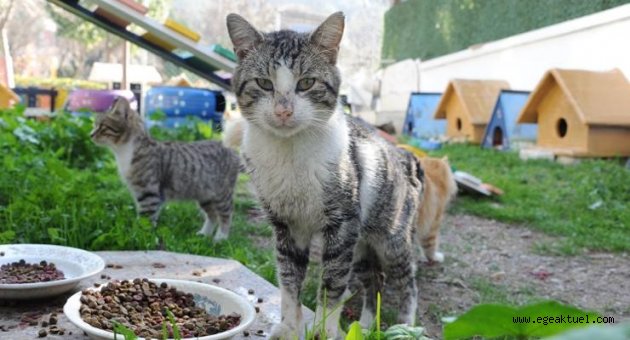Balçova pati park açıldı