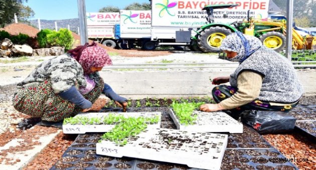Başkan Kocaoğlu çiçek üreticisine yeni hedef gösterdi