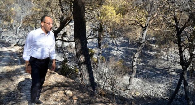 Başkan Oğuz yangın bölgesini inceledi: Yeniden ağaçlandıracağız