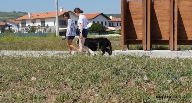 Başkan Oran’dan Ilıca’ya bir yatırım daha; Yıldız Burnu Rekreasyon Alanı!