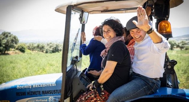 Başkan Soyer saz çavdarı hasadına katıldı